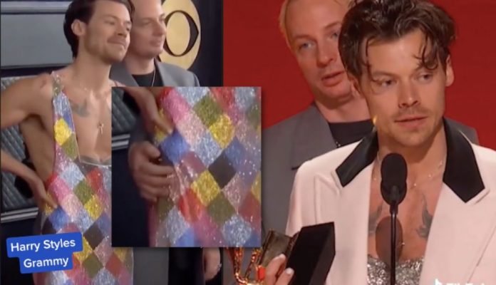 Harry Styles llegó acompañado a los Grammy… ¿Quién era esa persona?