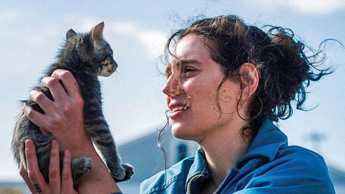 Crítica | "Lo Siento, Cariño", el camino a la sanación (La historia no es sobre el gato)